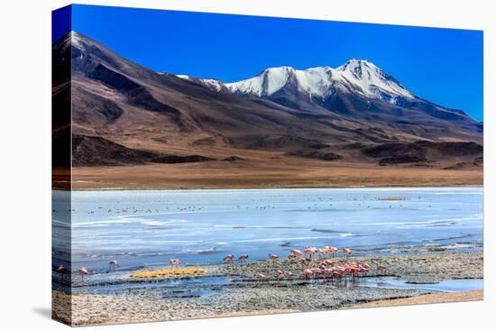 Flamingoes in Laguna Verde ,Bolivia-nok3709001-Premier Image Canvas