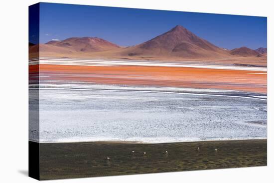 Flamingos at Red Lagoon (Laguna Colorada), Bolivia-Matthew Williams-Ellis-Premier Image Canvas