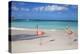 Flamingos on Flamingo Beach, Renaissance Island, Oranjestad, Aruba, Lesser Antilles-Jane Sweeney-Premier Image Canvas