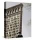 Flatiron II-Richard James-Stretched Canvas