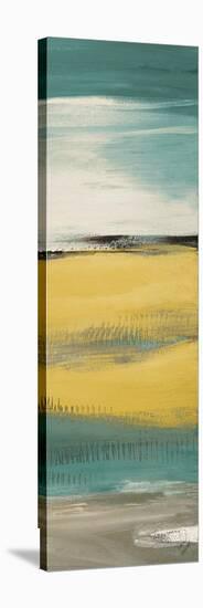 Flatlands Teal IV-Lanie Loreth-Stretched Canvas