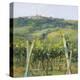 Flauvigny View-Christine Debrosky-Stretched Canvas