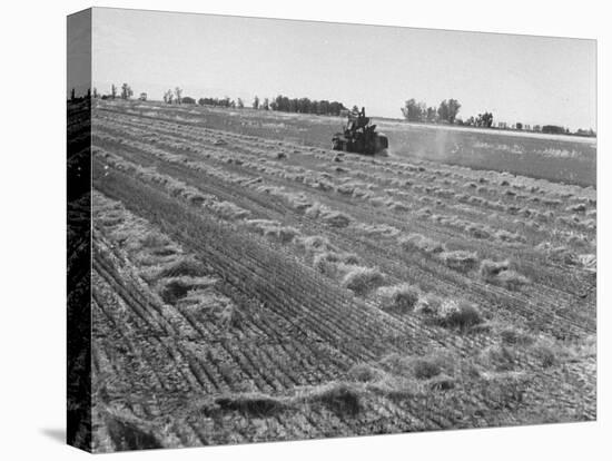 Flax Fields in Imperial Valley, Harvesting-Dmitri Kessel-Premier Image Canvas