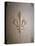 Fleur-de-lis Carved on Stone-null-Premier Image Canvas