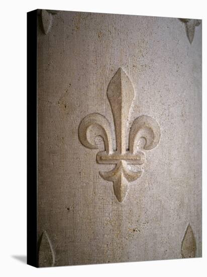 Fleur-de-lis Carved on Stone-null-Premier Image Canvas