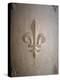 Fleur-de-lis Carved on Stone-null-Premier Image Canvas