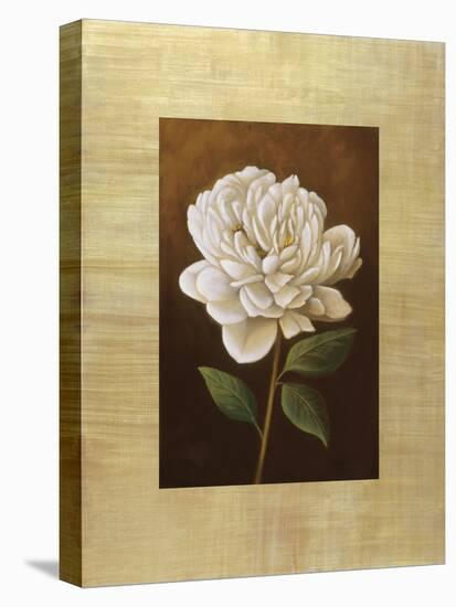 Fleur de Magnolia-Virginia Huntington-Stretched Canvas