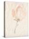 Fleur Petite II-Jennifer Goldberger-Stretched Canvas