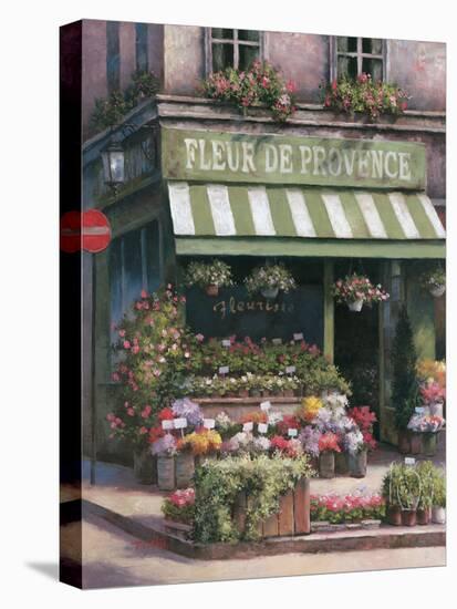 Fleurs de Provence-Unknown Chiu-Stretched Canvas