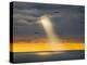 Flight for Freedom-Adrian Campfield-Premier Image Canvas