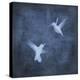Flight in Blue I-Chris Donovan-Stretched Canvas
