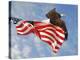 Flight of Freedom Bald Eagle-Jai Johnson-Premier Image Canvas