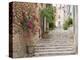 Flight of Steps in the Heart of the Village Fornalutx Near Soller, Mallorca, Balearic Islands, Spai-Ruth Tomlinson-Premier Image Canvas