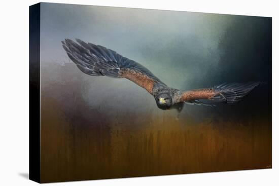 Flight of the Harris Hawk-Jai Johnson-Premier Image Canvas