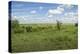 Flint Hills of Kansas-Michael Scheufler-Premier Image Canvas