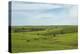 Flint Hills of Kansas-Michael Scheufler-Premier Image Canvas