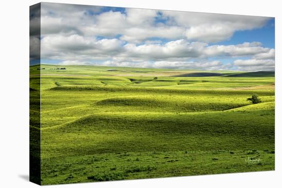 Flint Hills of Kansas-Michael Scheufler-Premier Image Canvas