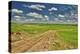 Flint Hills of Kansas-Michael Scheufler-Premier Image Canvas