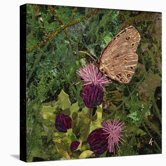 Flit - Satyr Butterfly on Thistle-Kirstie Adamson-Premier Image Canvas