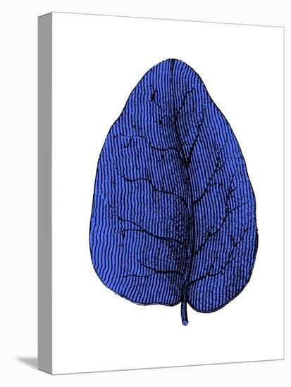 Floating Blue Leaf I-Jasmine Woods-Stretched Canvas