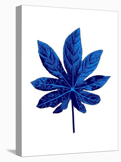 Floating Blue Leaf-Jasmine Woods-Stretched Canvas