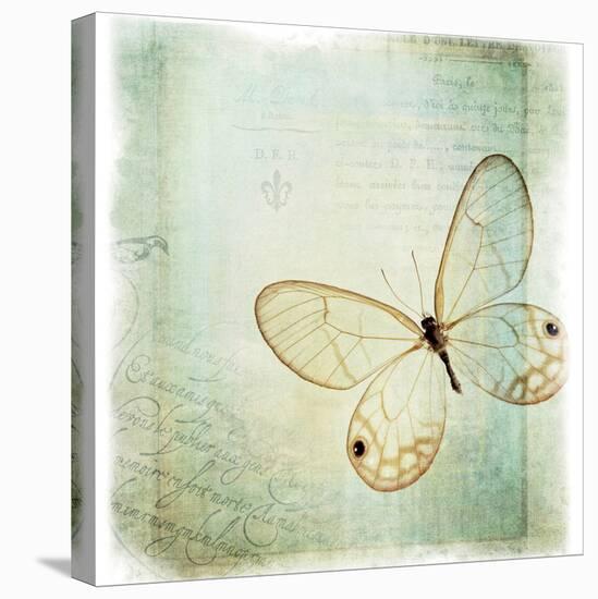 Floating Butterfly I-Debra Van Swearingen-Stretched Canvas