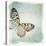 Floating Butterfly IV-Debra Van Swearingen-Stretched Canvas