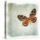 Floating Butterfly VI-Debra Van Swearingen-Stretched Canvas