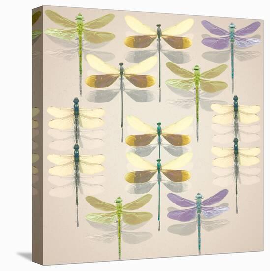 Floating Dragonflies II-Katja Marzahn-Stretched Canvas