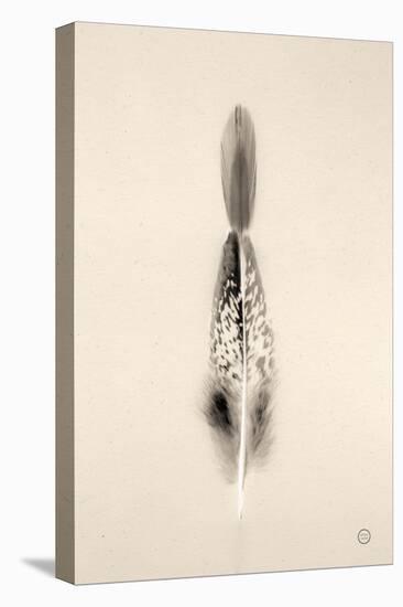 Floating Feathers I Sepia-Nathan Larson-Premier Image Canvas