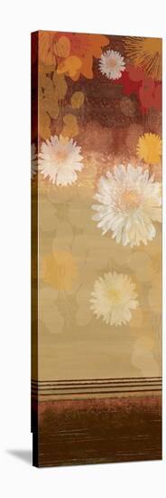 Floating Florals II-Andrew Michaels-Stretched Canvas