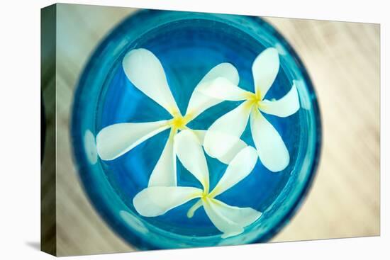 Floating Flowers I-Karyn Millet-Stretched Canvas