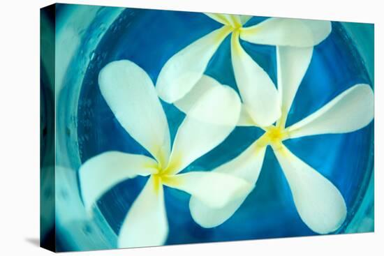 Floating Flowers II-Karyn Millet-Stretched Canvas