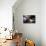 Floating-Home Owner Warren Owen Fonslor in His Bedroom, Sausalito, CA, 1971-Michael Rougier-Premier Image Canvas displayed on a wall