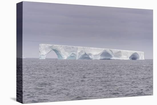 Floating iceberg, Elephant Island, South Shetland Islands, Antarctica, Polar Regions-Michael Runkel-Premier Image Canvas