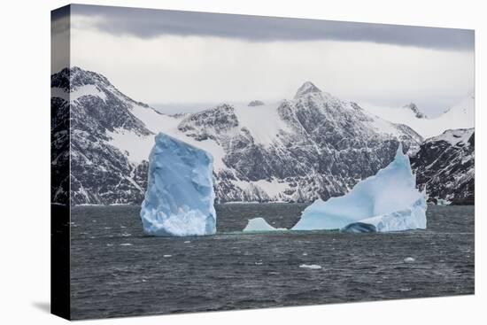 Floating iceberg, Elephant Island, South Shetland Islands, Antarctica, Polar Regions-Michael Runkel-Premier Image Canvas