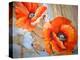 Floating Poppies Two-Diane Millsap-Stretched Canvas