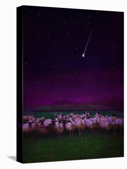 Flock by Night, 2019,-Helen White-Premier Image Canvas