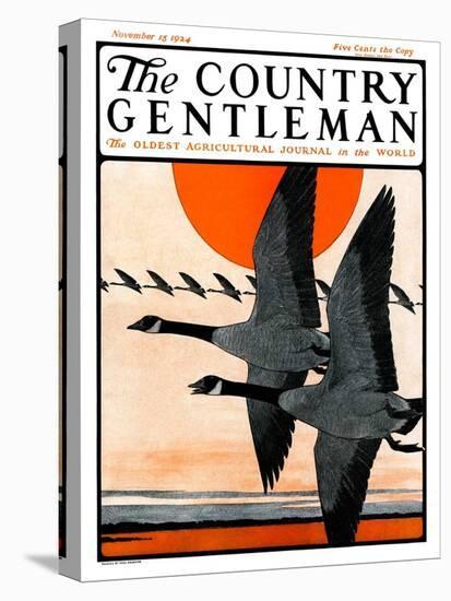 "Flock of Geese in Formation," Country Gentleman Cover, November 15, 1924-Paul Bransom-Premier Image Canvas