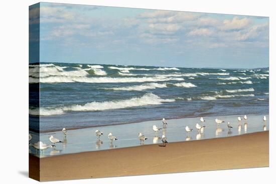 Flock of seaguls on the beaches of Lake Michigan, Indiana Dunes, Indiana, USA-Anna Miller-Premier Image Canvas