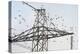 Flock of Starlings (Sturnus Vulgaris) Flying to Roost on Electricity Pylon-Terry Whittaker-Premier Image Canvas