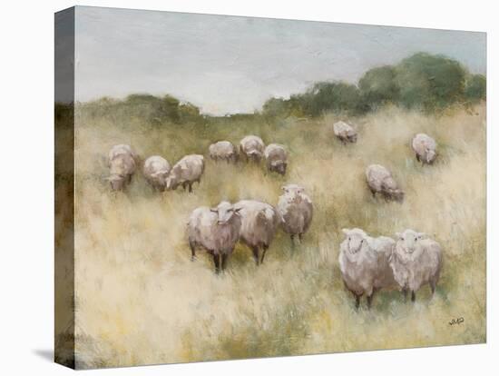 Flock-Julia Purinton-Stretched Canvas