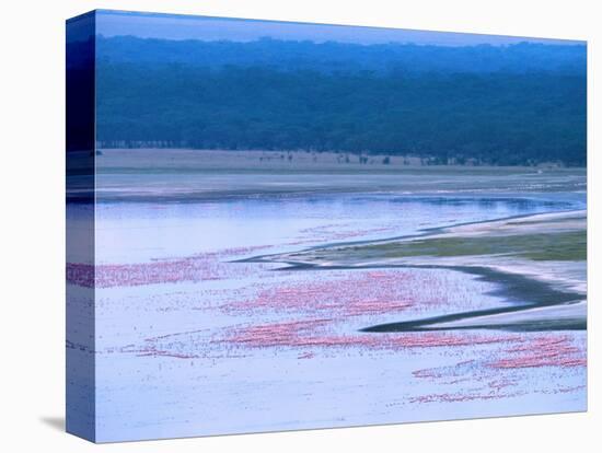 Flocks of Lesser Flamingos, Lake Nakuru, Kenya-Charles Sleicher-Premier Image Canvas