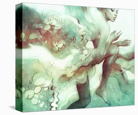 Flood-Anna Dittman-Stretched Canvas