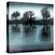 Flood-Paul Powis-Premier Image Canvas