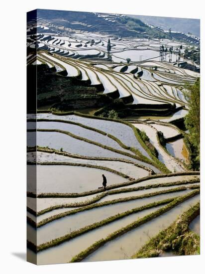 Flooded Bada Rice Terraces, Yuanyang County, Yunnan Province, China-Charles Crust-Premier Image Canvas
