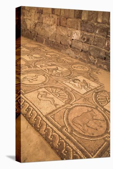 Floor Mosaics, Petra Church (Byzantine Church), Built Between the 5th and 7th Centuries Ad-Richard Maschmeyer-Premier Image Canvas