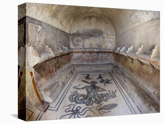 Floor of Tepidarium in Roman Central Baths Mosaic Depicting Triton, Campania, Italy-null-Premier Image Canvas