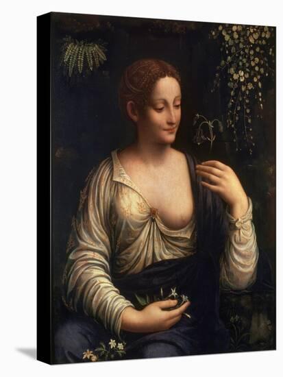 Flora, C1510-C1515-Francesco Melzi-Premier Image Canvas