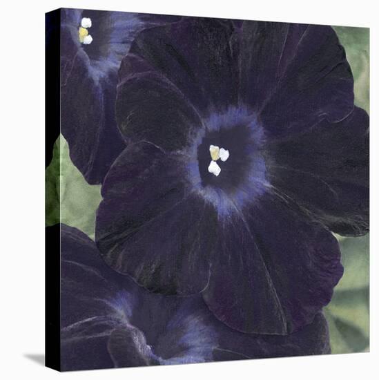 Floral Allure - Soft-Belle Poesia-Stretched Canvas